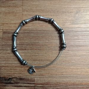 Alex and Ani adjustable bangle